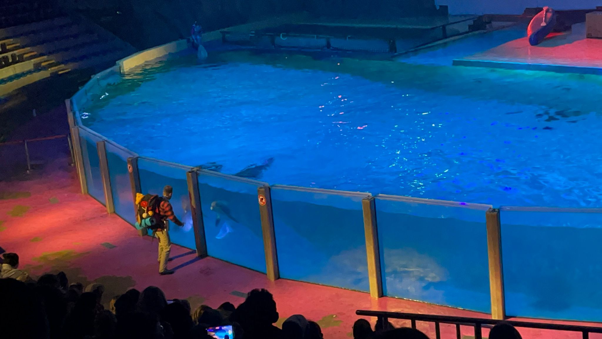 Sint-Martinus den XIIde - Winterkamp JVK 2024